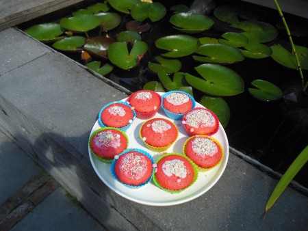 regenboog cupcake